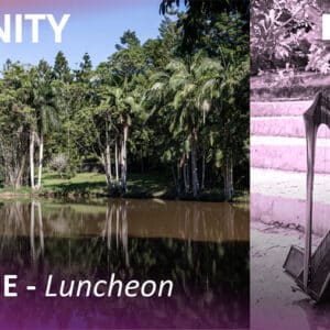 SERENITY - ALSAHWA ESTATE - LUNCH